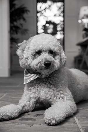 IMG_0846_bw