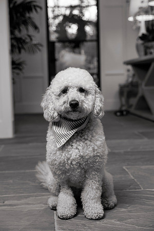 IMG_0807_bw