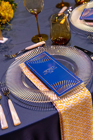 STCL_2025_GALA-1013