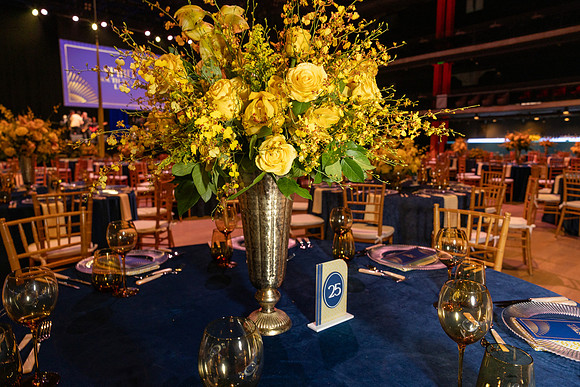 STCL_2025_GALA-1119