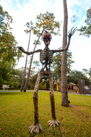 2025Halloween (15 of 377)