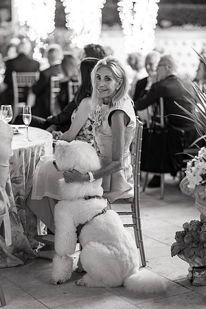 50th_Crum2026-2996_BW