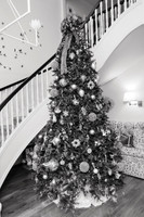 0001-HCC Family Dance-20241220-BW