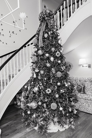0001-HCC Family Dance-20241220-BW