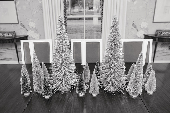 0010-HCC Family Dance-20241220-BW