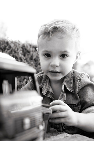 Fields-1572_bw