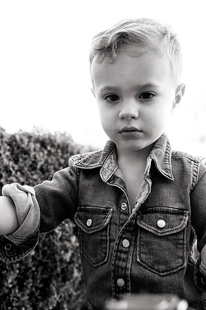 Fields-1577_bw