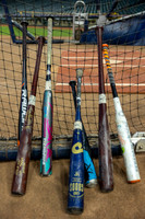 Batting-1042