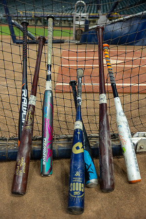 Batting-1042