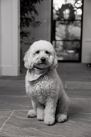 IMG_0792_bw