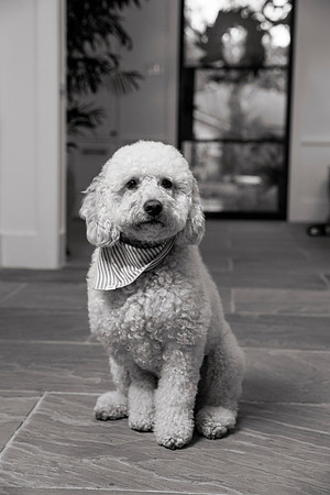 IMG_0790_bw