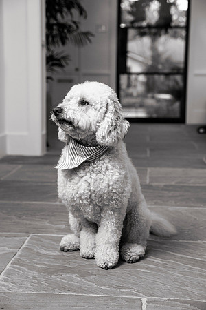 IMG_0787_bw