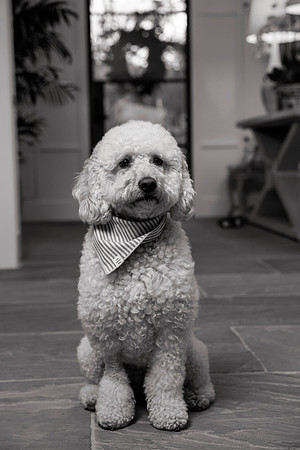 IMG_0808_bw