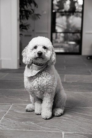 IMG_0786_bw