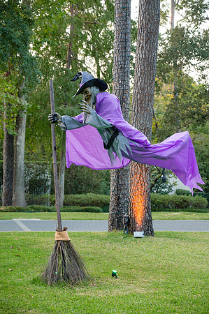 CampoHalloween2024s (4 of 306)