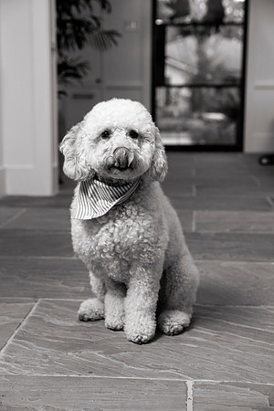 IMG_0785_bw