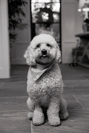IMG_0810_bw