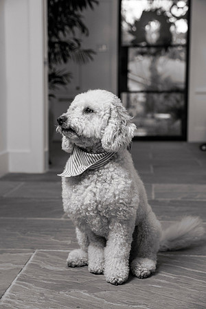 IMG_0791_bw