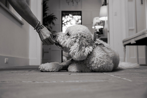 IMG_0822_bw