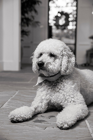 IMG_0860_bw