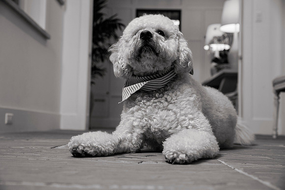 IMG_0853_bw
