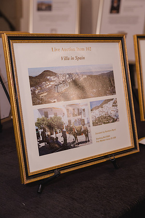 0297_Frondren Library Gala_20220325_JT